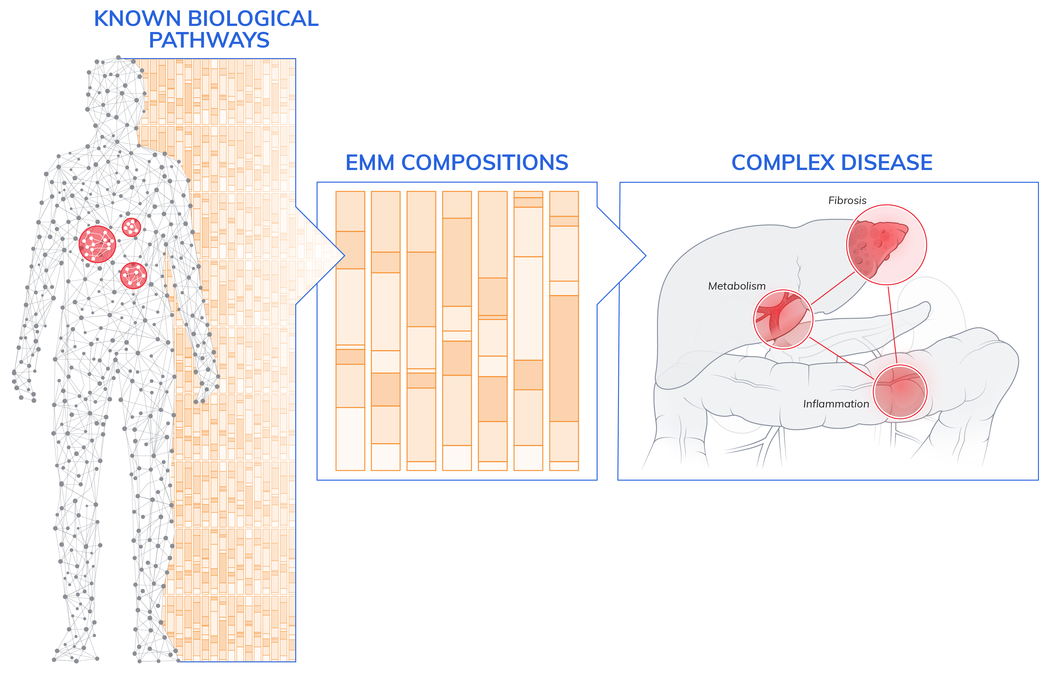 EMM-page_Complex-Diseases_v2_20200323