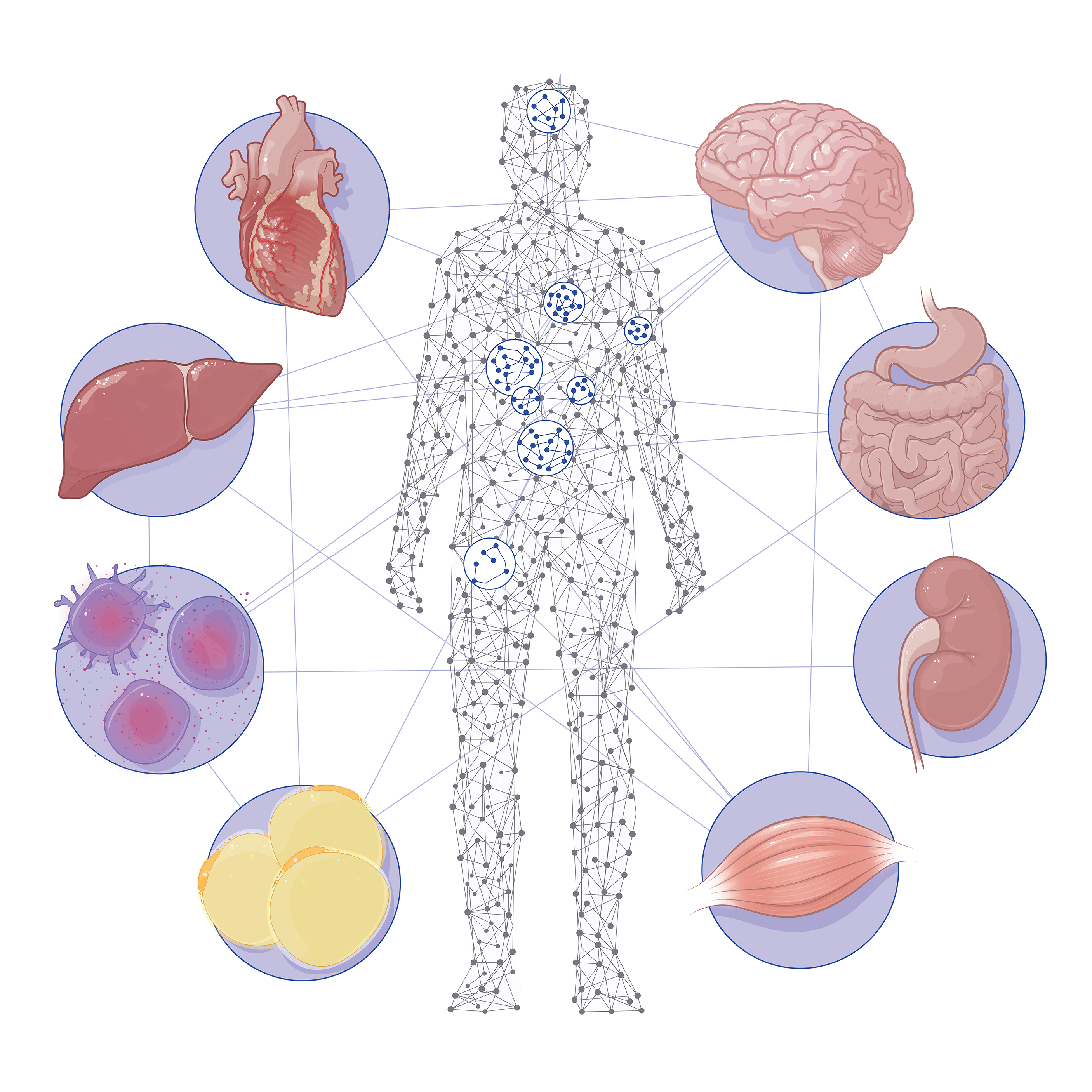 EMM-page_EMM-Man-and-Organs_20200421